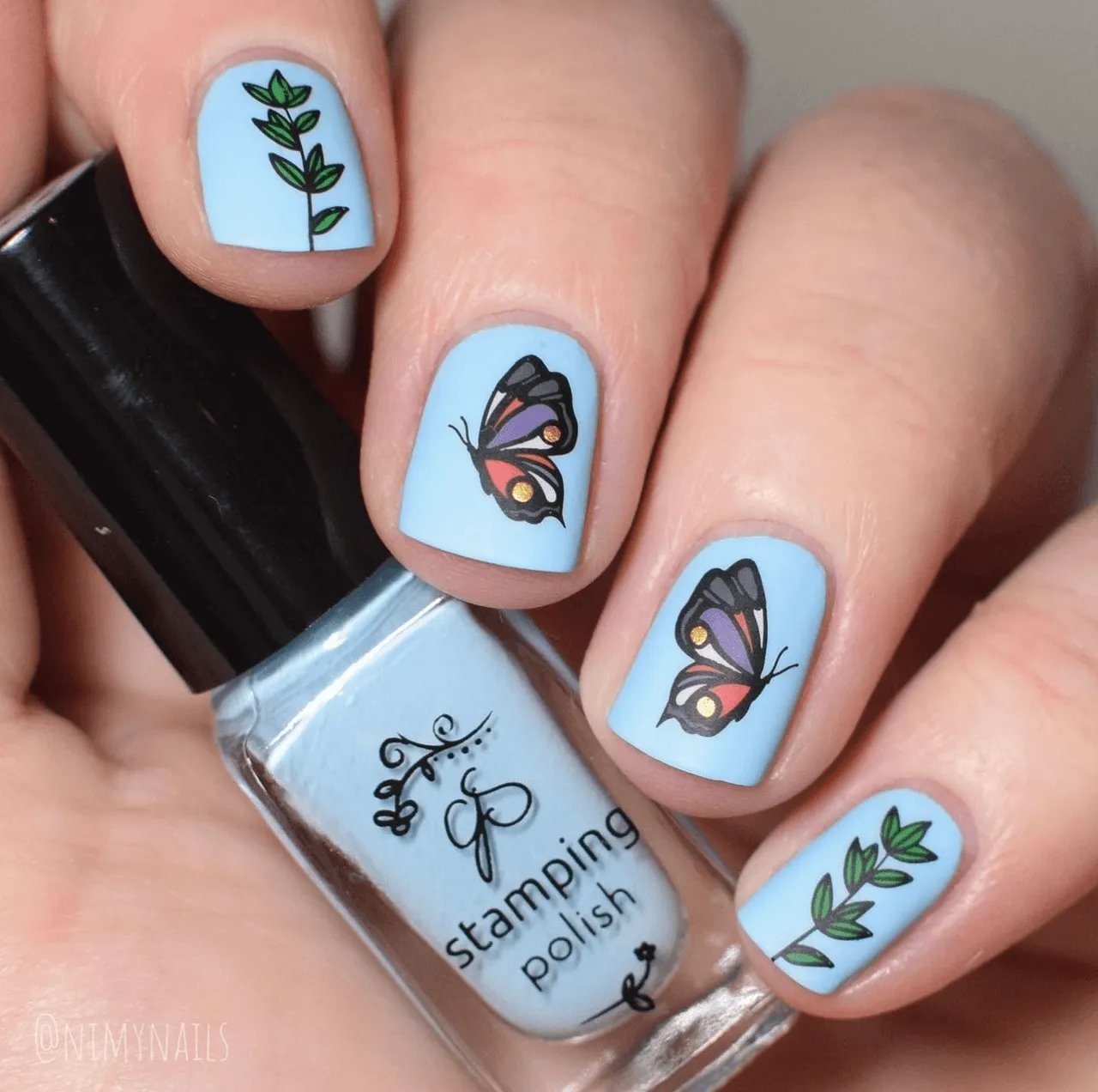 Flutterby (CjS-278) Steel Nail Art Layered Stamping Plate