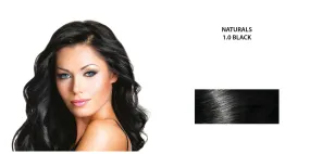 Graceful Permanent Hair Color 1.0 Black