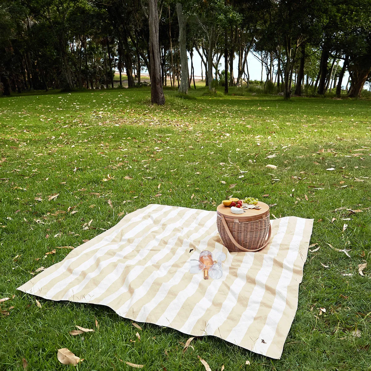 Picnic Blanket - Compact & Quick Dry
