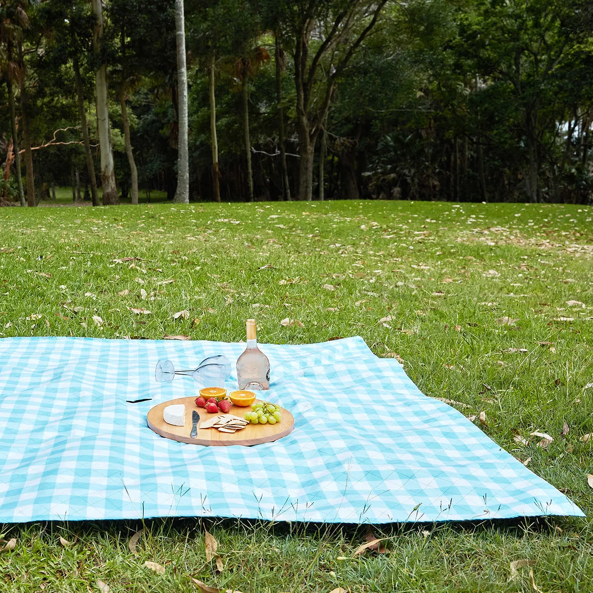 Picnic Blanket - Compact & Quick Dry